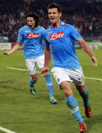 适应能力 适应能力