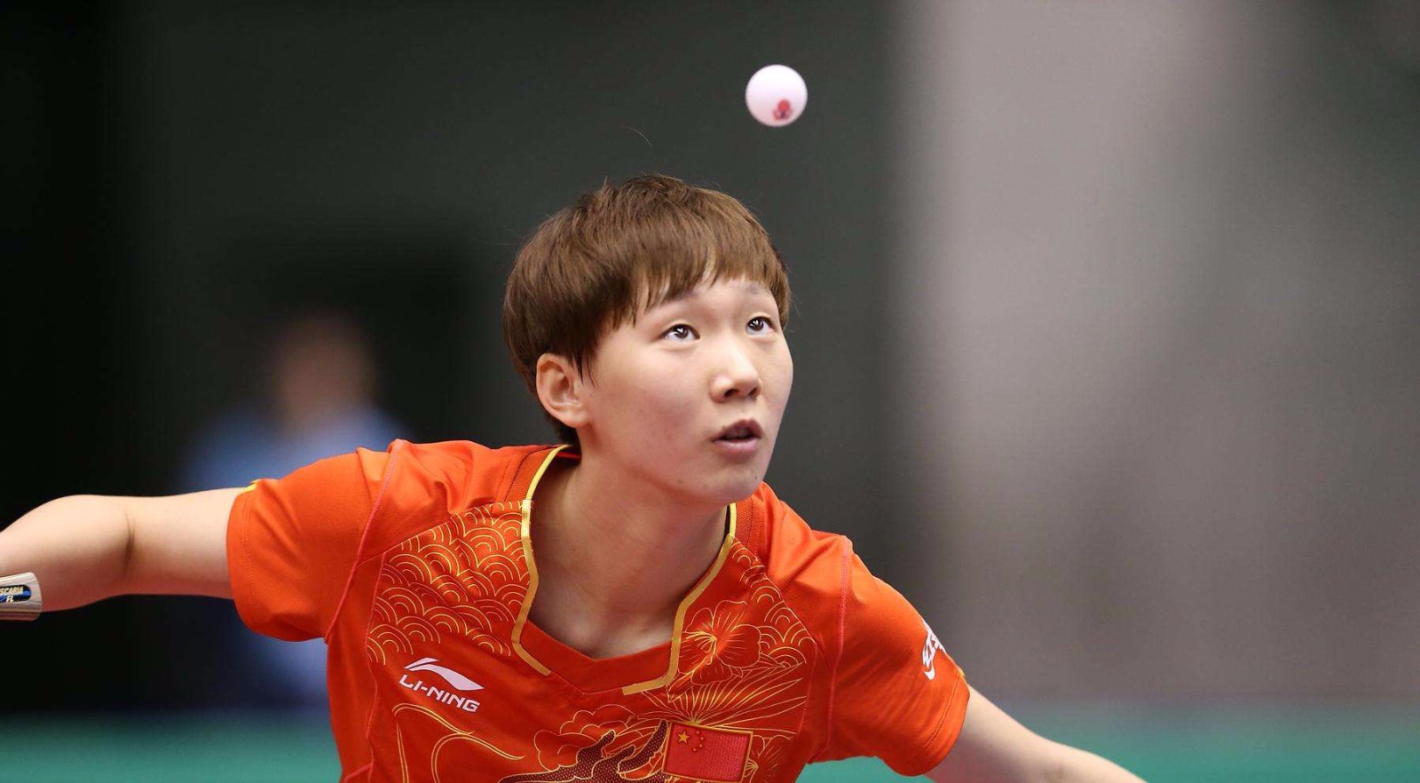 仅预示着人 仅预示着人