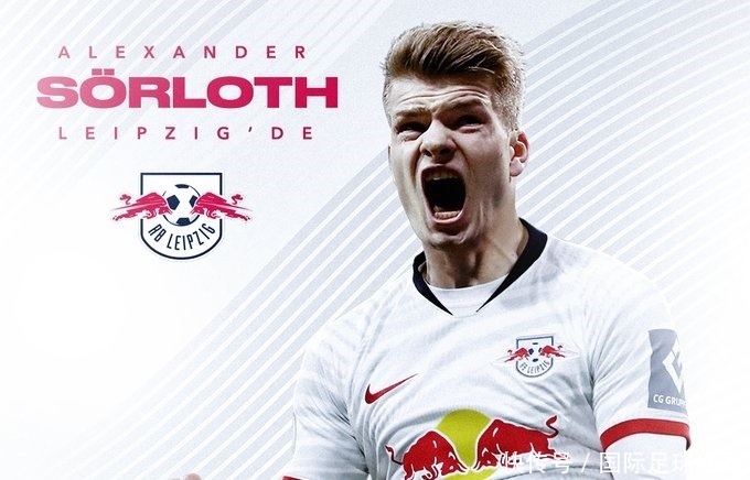 泽卡不只是 泽卡不只是