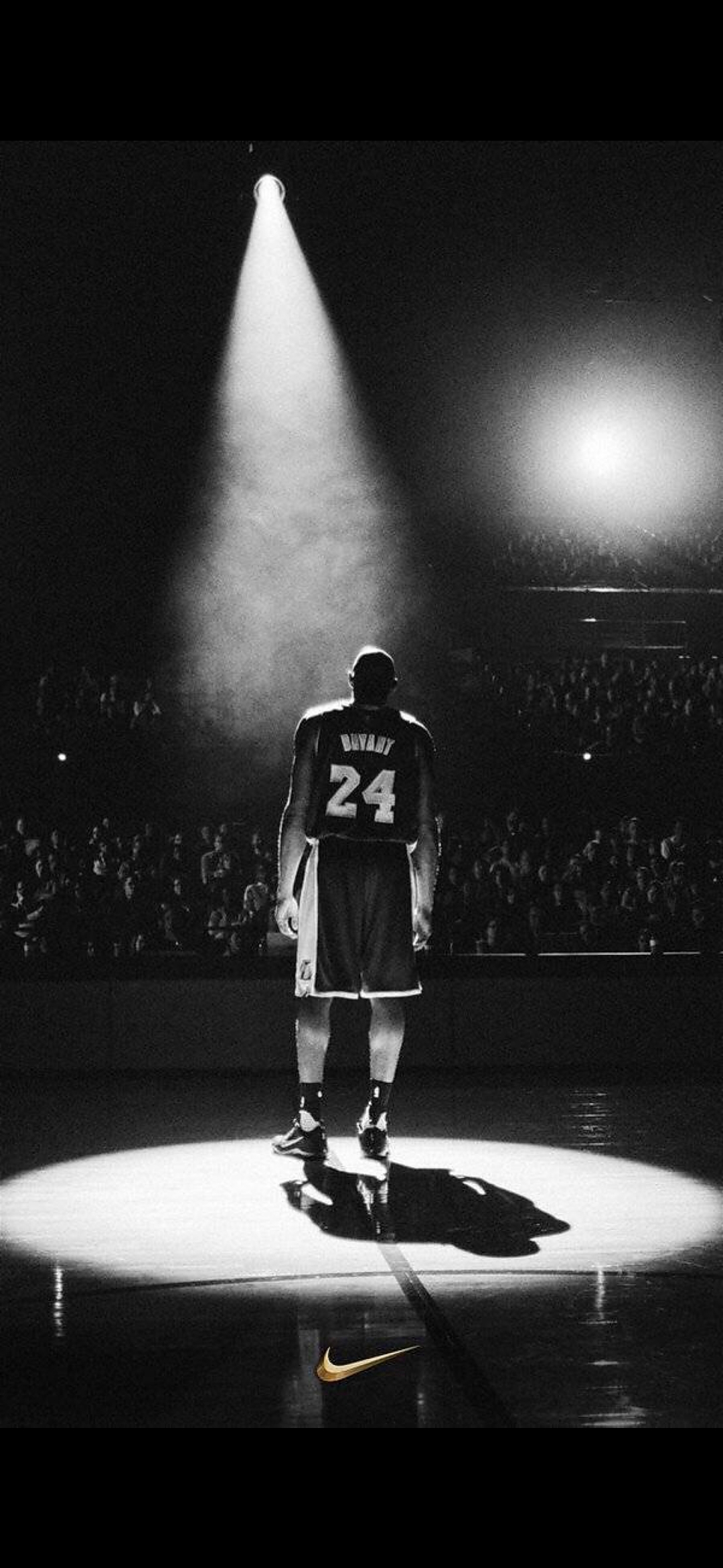 坚果价值 坚果价值